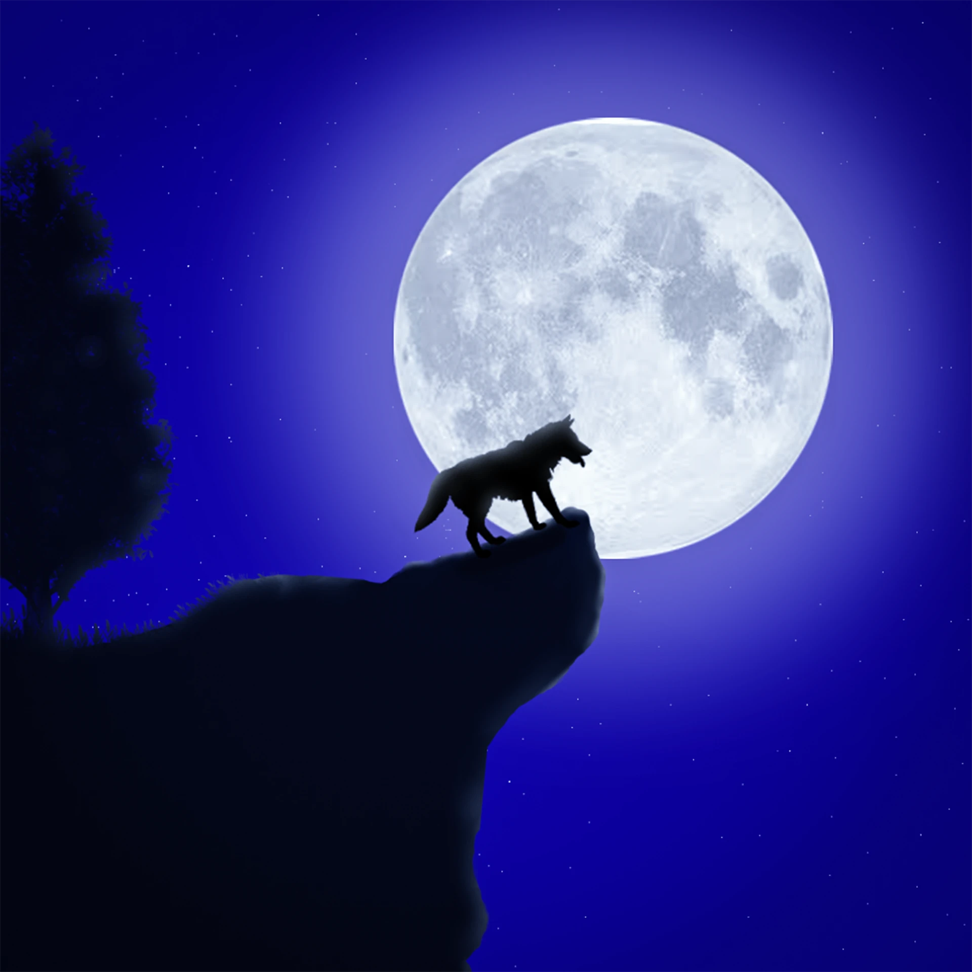 wolf-5531895_1920 wolf-5531895_1920